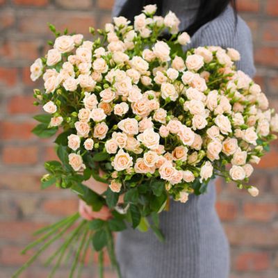 Кустовые розы