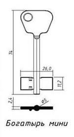 Заготовка сувальдного ключа 13524  BGT4D