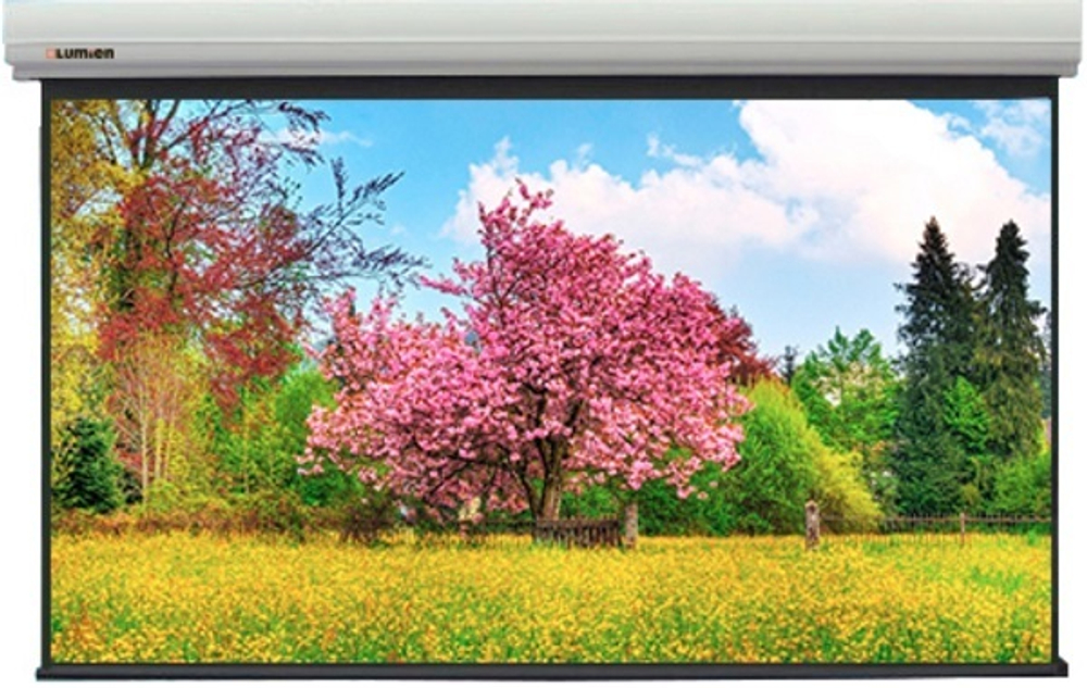Экран  Lumien LMLC-100110A