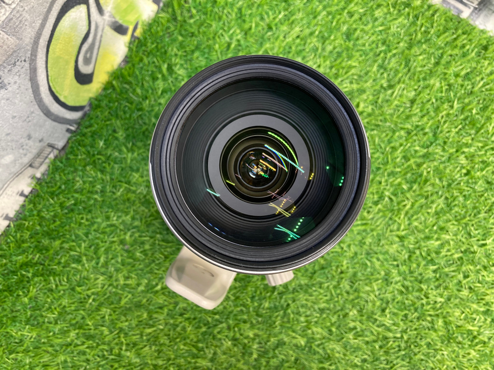 Canon EF 28-300mm 3.5-5.6L IS USM Покупка/Продажа