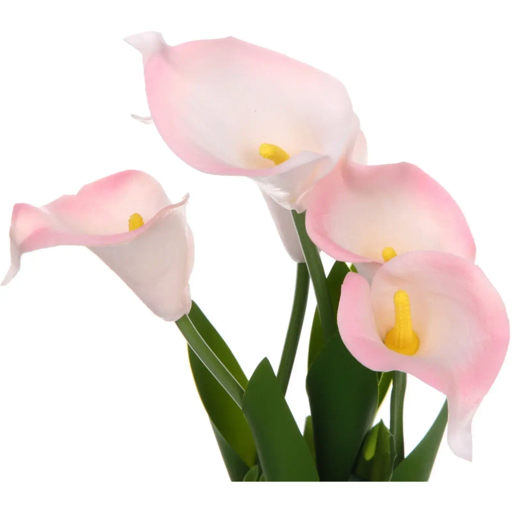 Цветочная композиция «Весенняя рапсодия» 15*30см Каллы белые