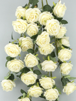 Ампельная кустовая роза Мариэлла молочная