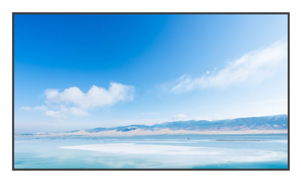 Профессиональный дисплей Exell EXPD-DA65AM5 65"