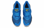 Кроссовки Nike Trey 5 Kd Vi