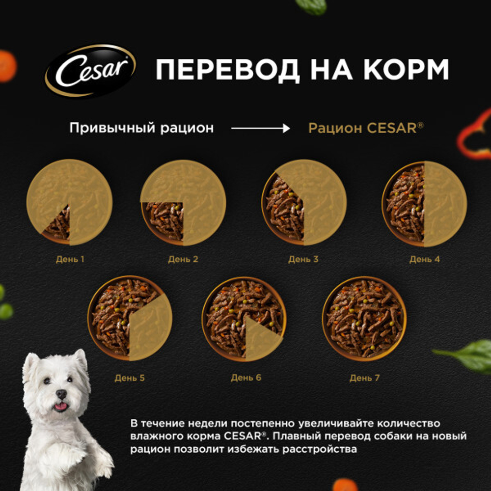 Индейка с горохом и морковью в желе, 80г влажный корм для собак, Cesar Natural Goodness