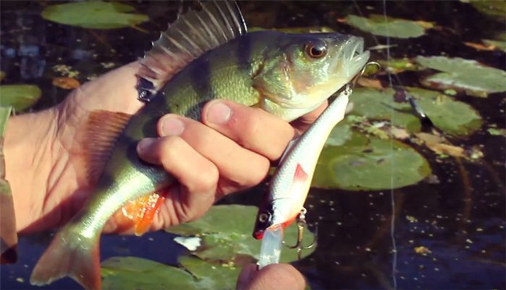 Воблер для рыбалки PIRATE 85mm,