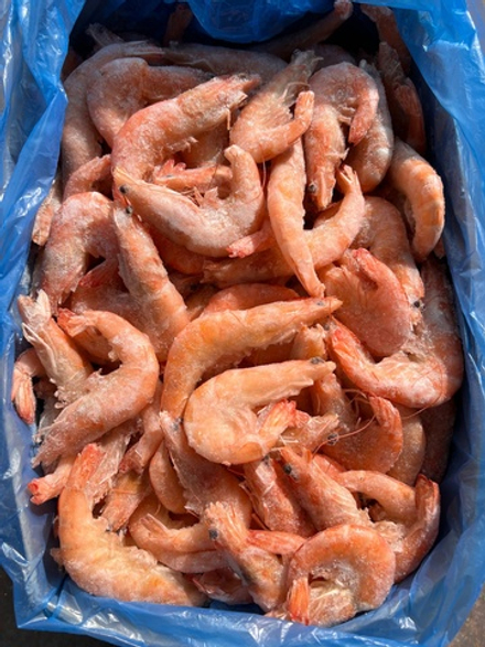 Креветка Королевская 31/40 Камарон Эквадор