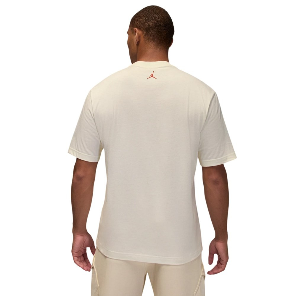 Баскетбольная мужская футболка Jordan Brk Holiday GFX