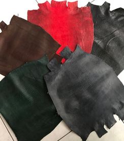 Кожа ящерицы SK-32