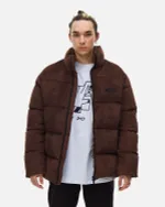 Пуховик Anteater AW25 Downjacket Velvet Brown