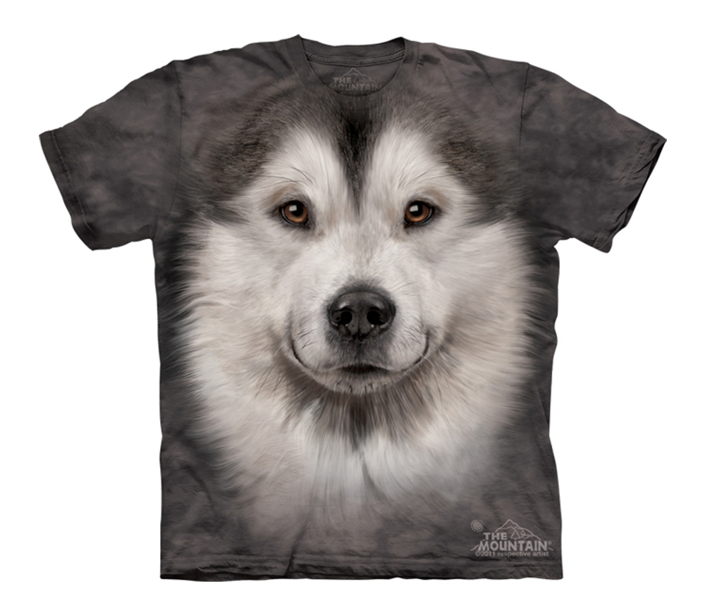 Alaskan Malamute Face
