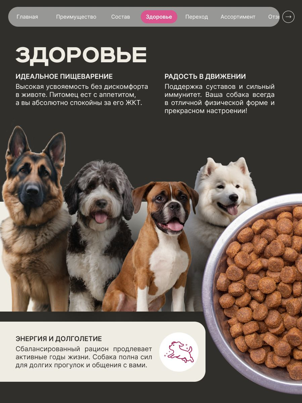 Корм сухой для взрослых собак породы Среднеазиатская овчарка (Алабай), премиум полнорационный комплекс, с говядиной, 2,5 кг, QUATTRO