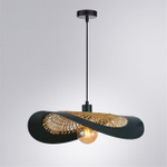 Подвесной светильник Arte Lamp WOODSTOCK A7059SP-1BK
