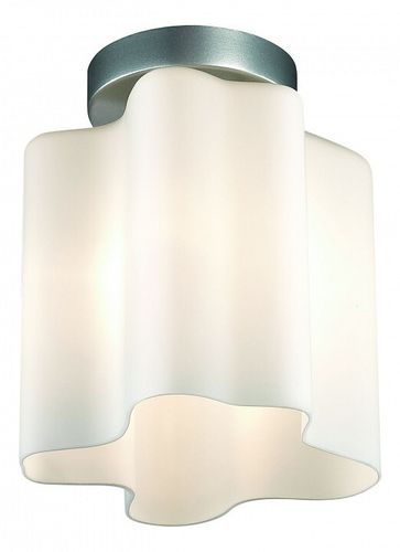 Накладной светильник ST-Luce SL116.502.01