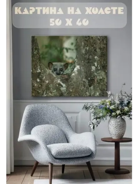 Картина на стену 40 X 50 Лемур