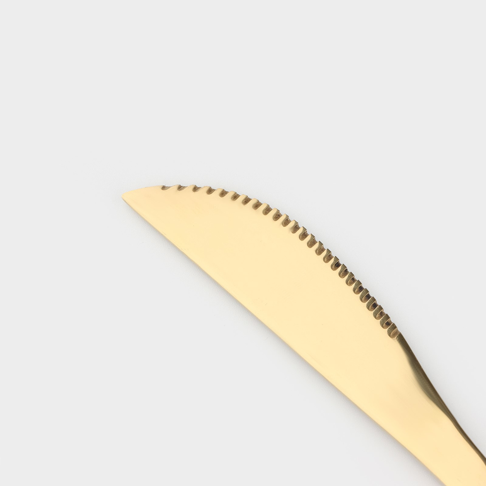 Набор столовых приборов из нержавеющей стали Оску, 24 предмета в коробке (золотой)