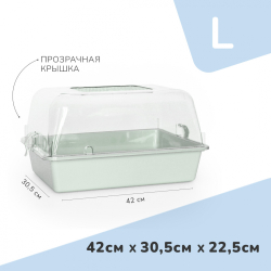 Zooexpress террариум (дюна) прозрачный - зеленый - L (42х30,5х22,5 см)