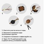Шар для укоренения растений, d=11.5 см, под ветку 1.6 см, чёрный, Greengo
