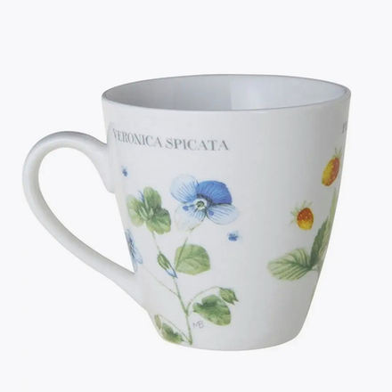Чашка "Вероника Колосистая", 200 мл