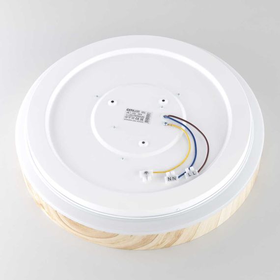 Потолочный светильник Citilux CL753352G