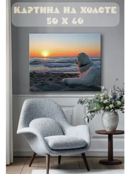Картина на стену 40 X 50 Пес на пляже