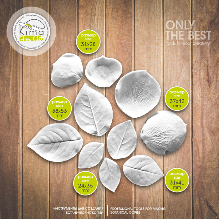 Роза кустовая набор