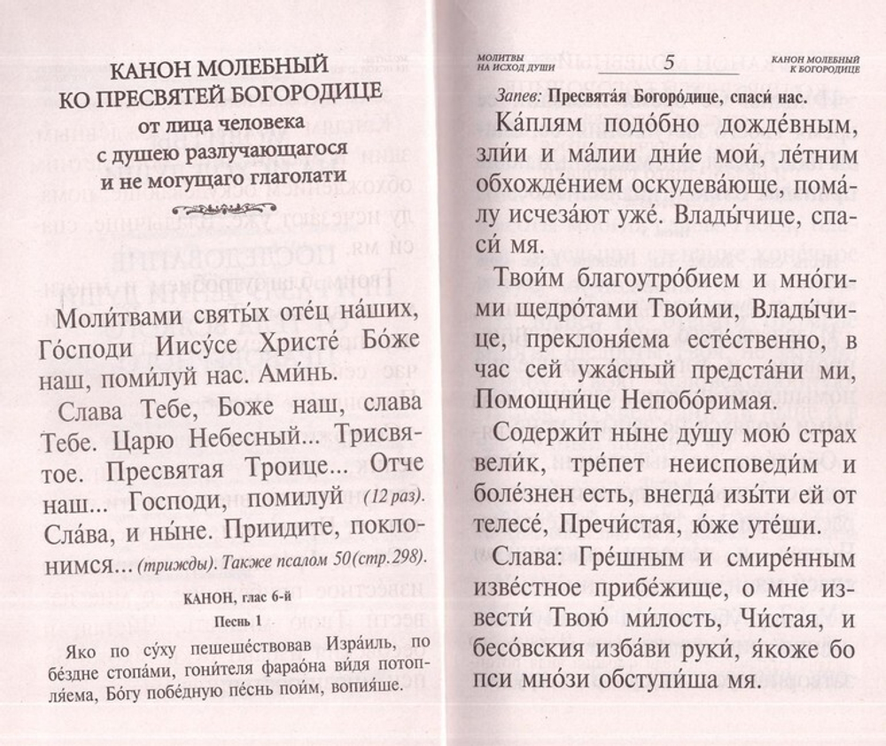Псалтирь и каноны по усопшим для слабовидящих