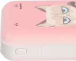 Внешний аккумулятор Ritmix RPB-10007 Grumpy Cat 10000 mAh