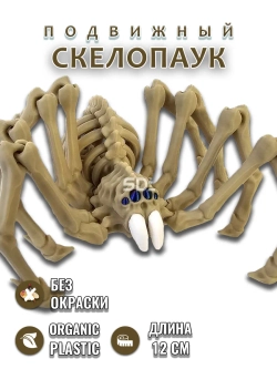 Скелет Паук