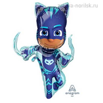 Герои в масках Кэтбой