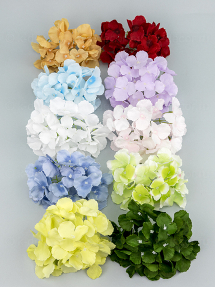 Гортензия Аннабель (голова)