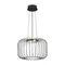Подвесной светильник Цитрус / Citrus Freya fr5398pl-l8b