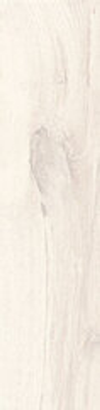 Rondine Living Bianco 7.5x45