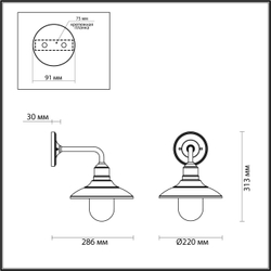 Уличный настенный светильник Odeon Light 4965/1W