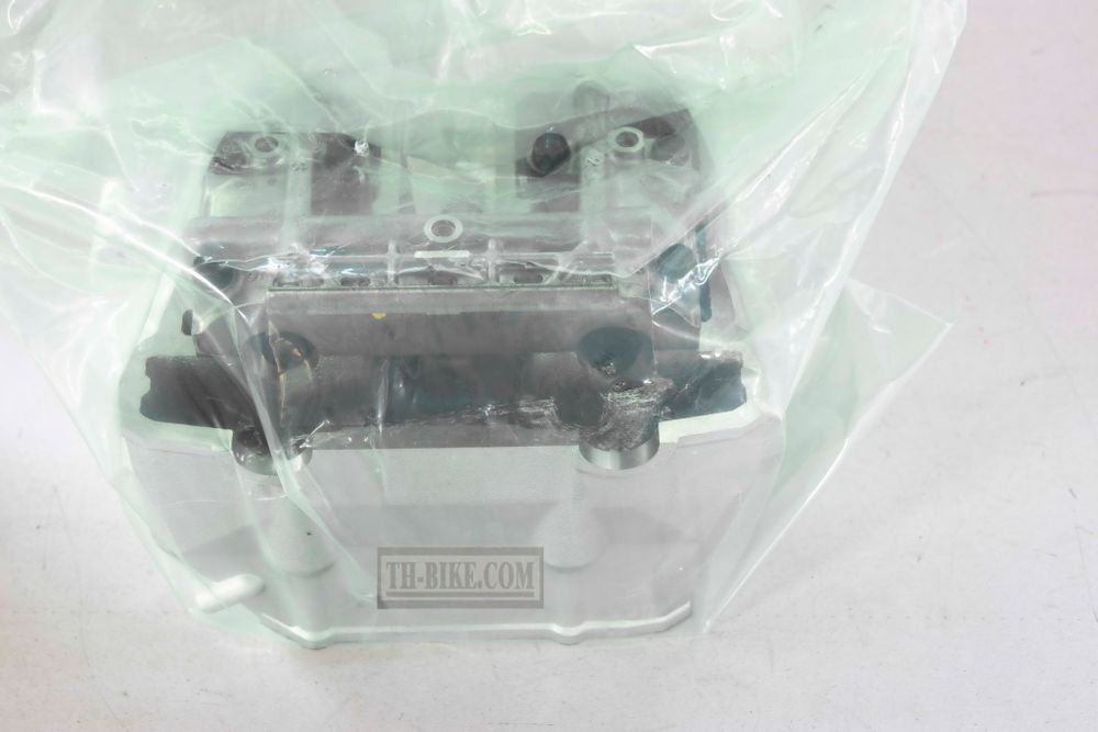 11002-0039. HEAD-ASSY-CYLINDER. Kawasaki KLX250 2009-2013.