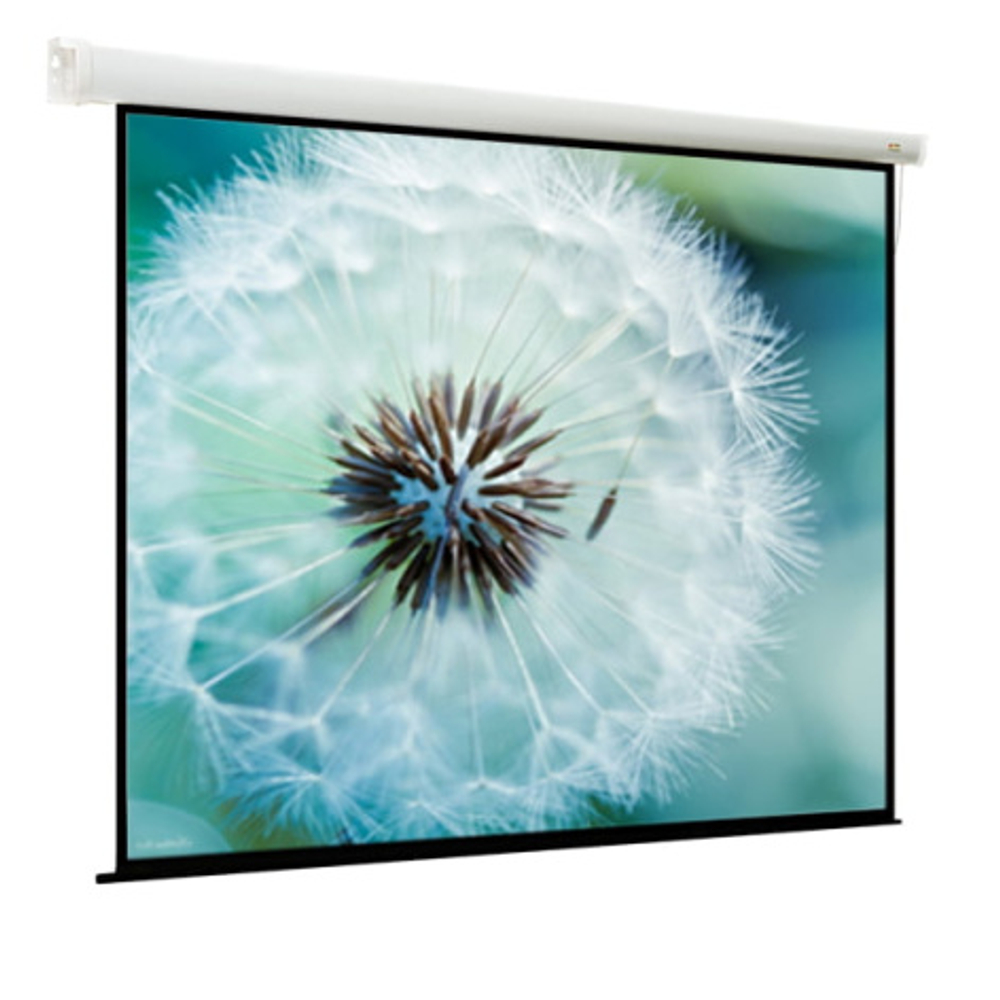 Экран Viewscreen Breston EBR-16104