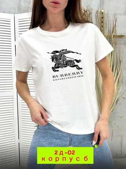 Футболка 4144933 (01643436302) Fabrika