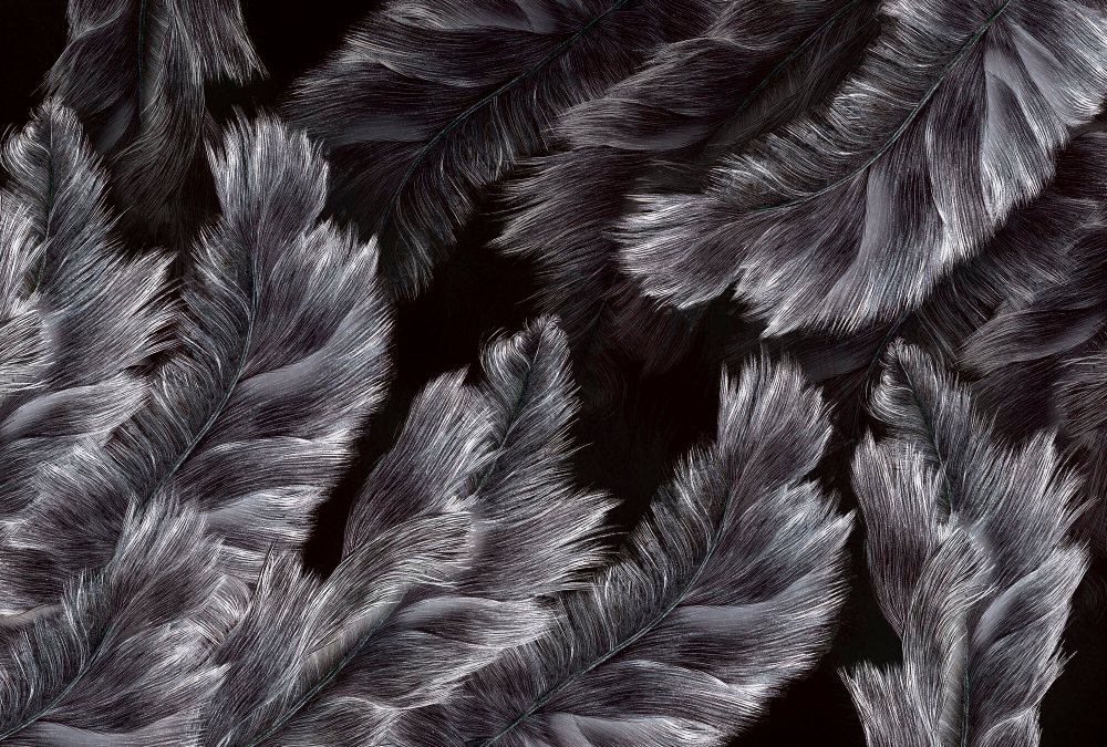 Коллекция Levity