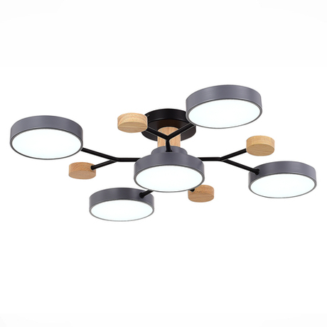 Светильник потолочный Evoluce Faema SLE6006-702-05