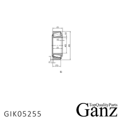 Подшипник ступицы задний FORD TRANSIT 00- GANZ GIK05255