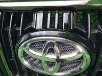 Решетка радиатора Toyota LC Prado 150 17-нв Black
