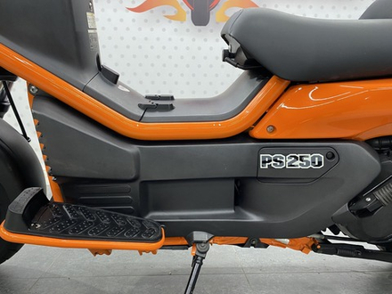 Honda PS250 Big Ruckus , 2006