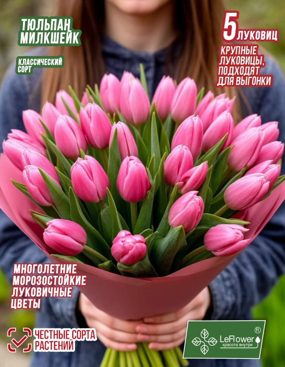 Тюльпан Луковица, Милкшейк, 5 шт крупные