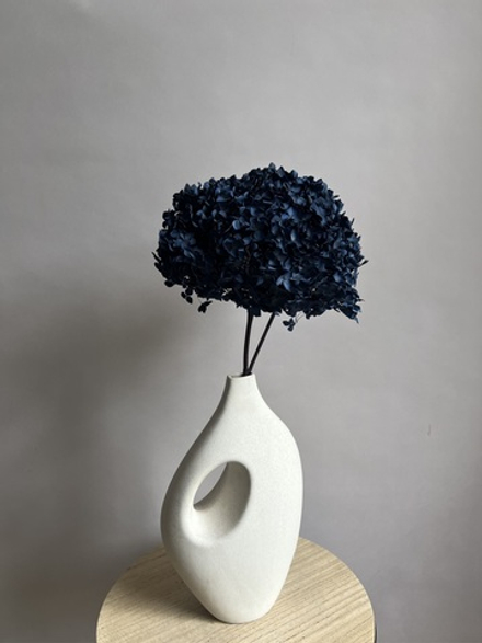 Гортензия стабилизированная темно-синяя