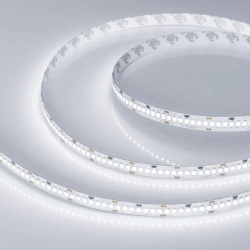 Светодиодная лента RT 2-5000 24V White6000 10mm (2835, 252 LED/m, LUX) (Arlight, 10 Вт/м, IP20) 022648
