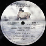 The Beach Boys / Keepin' The Summer Alive (LP)