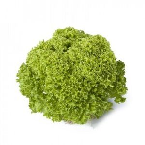 Лолло Блонда