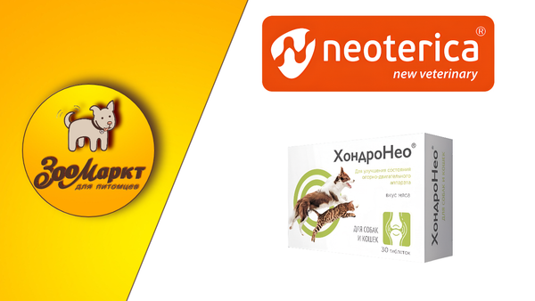 Акция ХондроНео