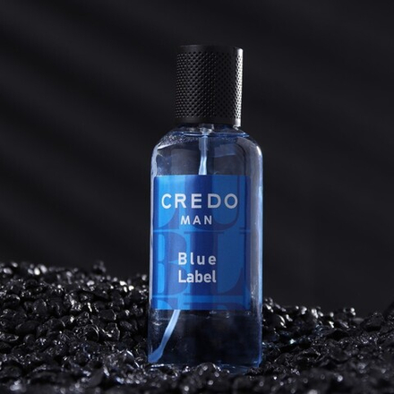 Туалетная вода мужская CREDO MAN Blue Label, 100 мл (по мотивам Blue Label (Givenchy)