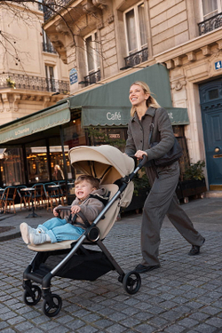 Детская коляска Anex iQ Premium NT 2 в 1 iQ-13-DNA seal